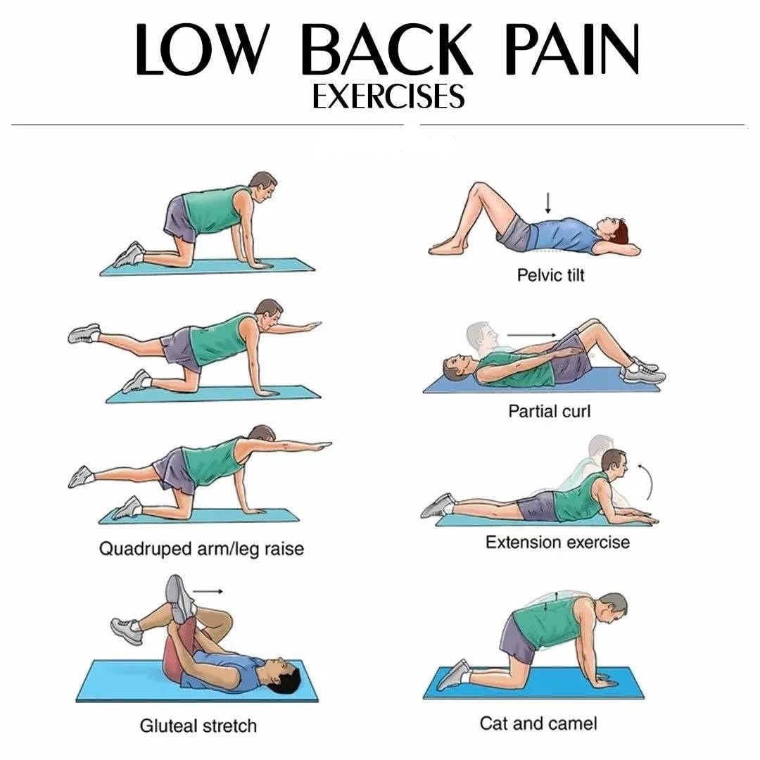 Low back pain home exercise remedies by Dr Sanjiv Rampal MBBS Ms