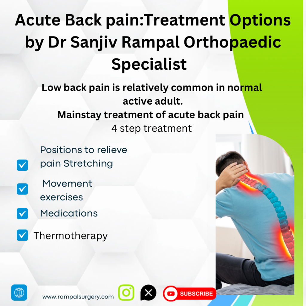 Back pain Treatment Options by Dr Sanjiv Rampal Mbbs Ms Ortho Kuala Lumpur
